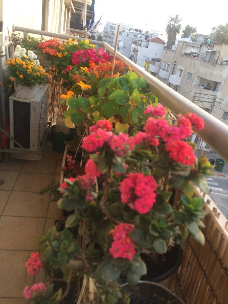 מהסמארטפון שלי